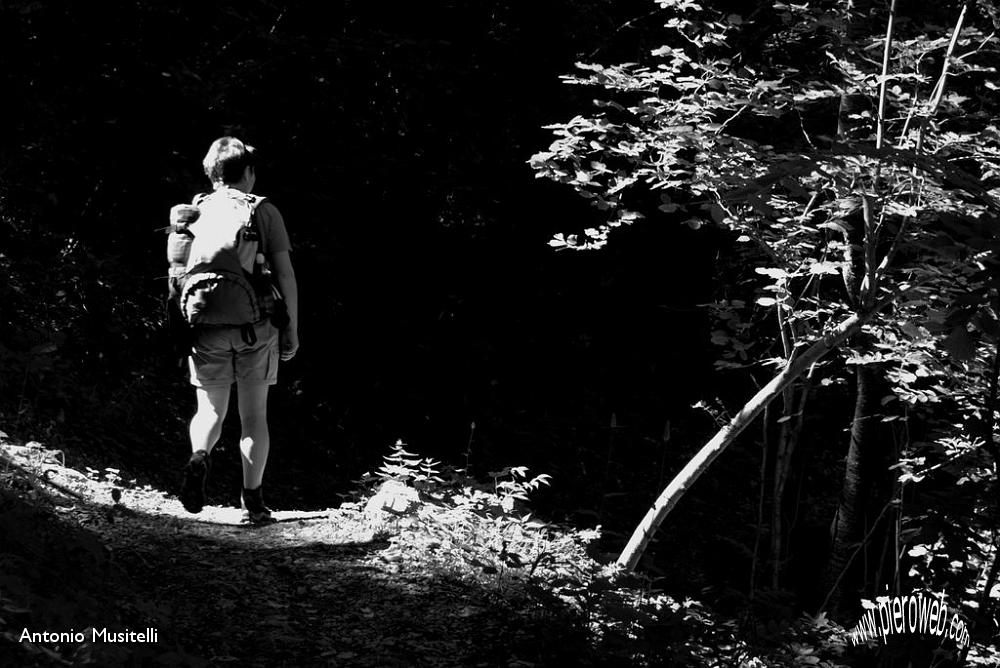 08 Nel bosco.jpg